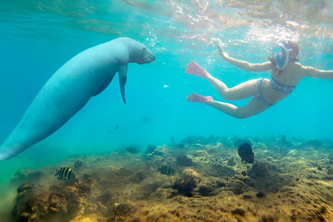 Marsa Alam: Hamata Islands Snorkeling Cruise with Lunch