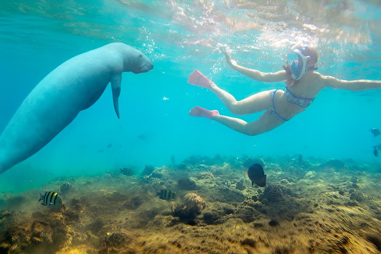 Marsa Alam: Hamata Islands Snorkeling Cruise with Lunch