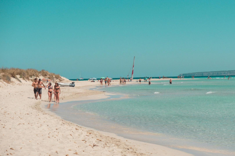 Ibiza: Formentera Tour with Meals Water Activity & Free Time