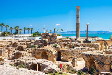Tunis: An unforgettable day in Sidi Bou Said, Carthage, Bardo, and the Medina Private Tour with a Live Guide