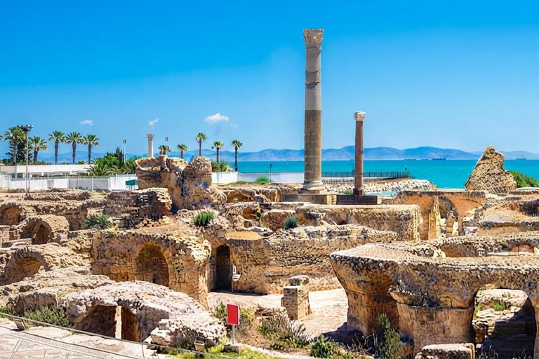 Tunis: An unforgettable day in Sidi Bou Said, Carthage, Bardo, and the Medina Private Tour with a Live Guide