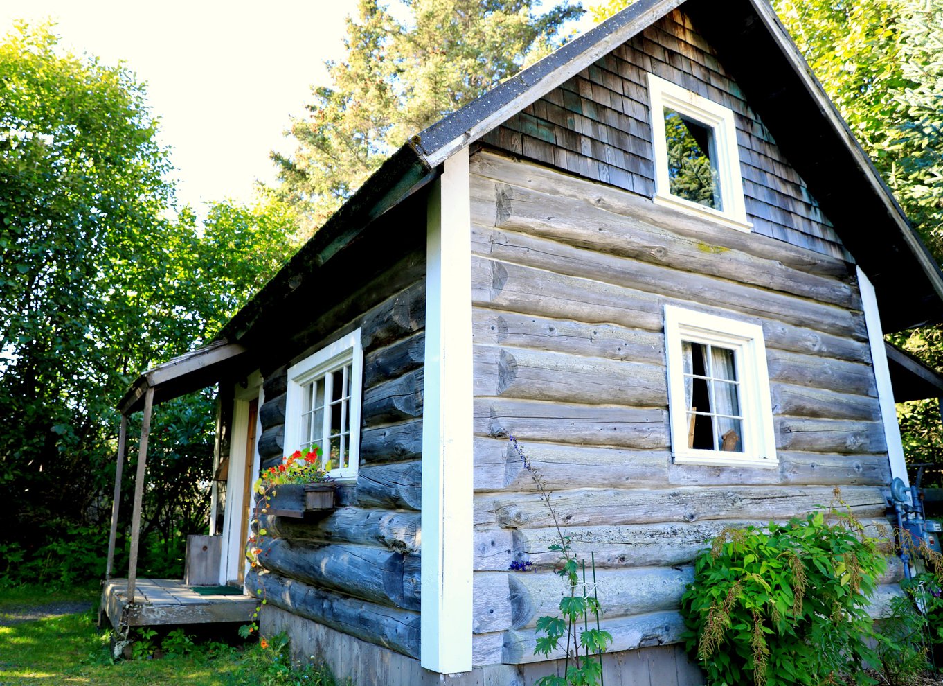 Homer: Adgangsbillet til Pratt Museum