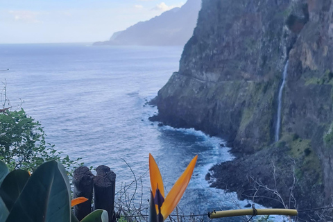 فونشال: جولة عائلية في جزيرة ماديراجولة عائلية في جزيرة ماديرا