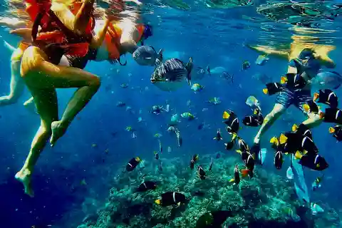 Paddleboard & snorkel tour in Los Arcos