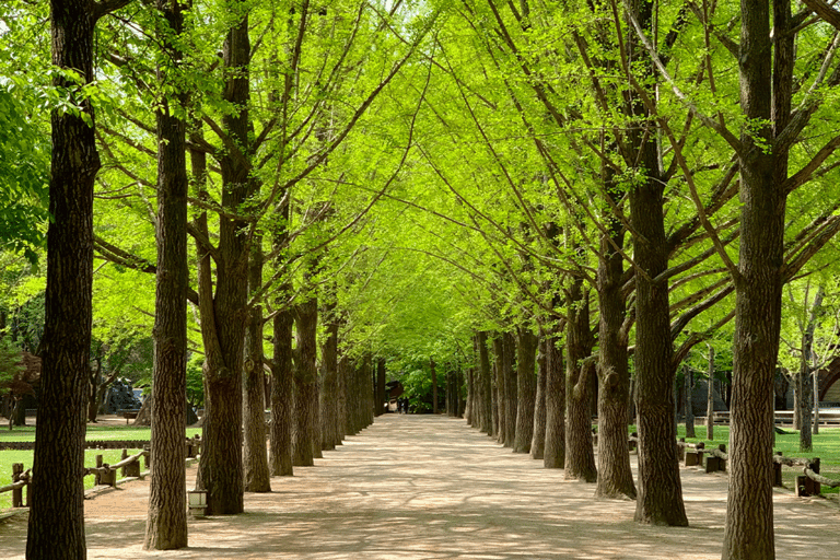 Seoul: Nami, Petite France, Italian Village, Railbike OptionGroup Tour from Hongdae (Hongik Uni)