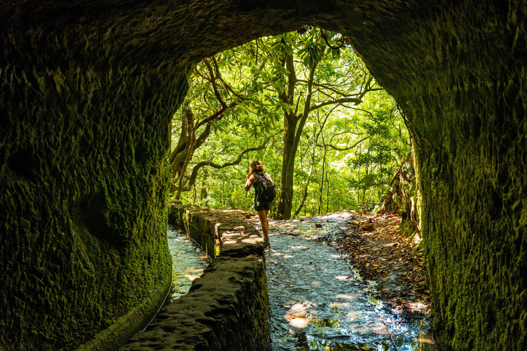 Madeira: Junglekoorts Levada Caldeirao Verde Wandeling SantanaCaniço: Opstapplaats