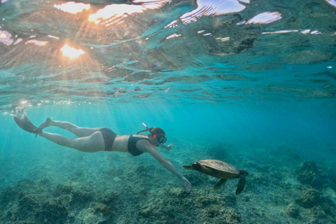 Lombok: 5 Gili Islands Snorkeling Tour With Private Boat Private Small Group With CAR
