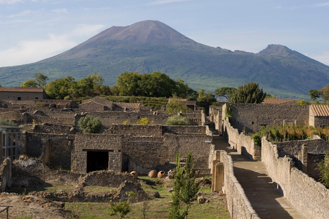 From Naples: Pompei and Naples Tour with tickets included Private tour with driver only - Pompeii tickets included