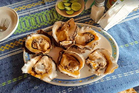 من مدينة أواكساكا: تجربة الغوص الحر في بويرتو إسكونديدو