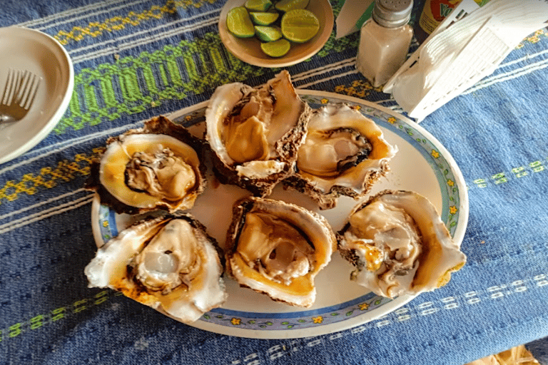 من مدينة أواكساكا: تجربة الغوص الحر في بويرتو إسكونديدو