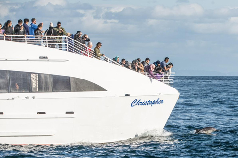 Los Angeles Harbor Breeze Cruise & Battleship USS Iowa Entry Whale Watching Cruise + USS Iowa Ticket