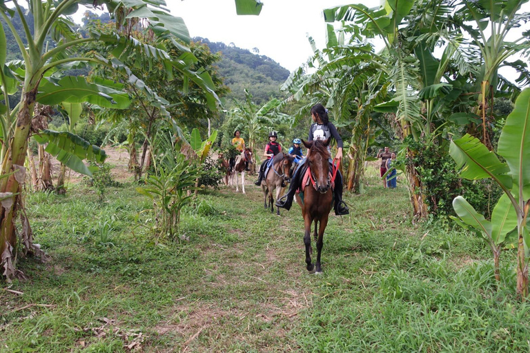 Phuket Jungle Horseback Ride with Scenic Forest Views Adventure Trail (2 Hrs)