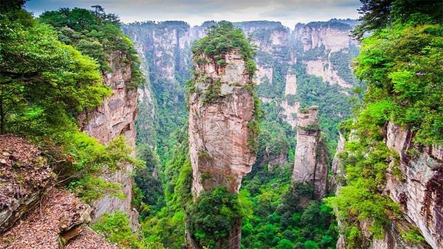 Forest Park (Avatar Mountain) 1-day tour with VIP Access