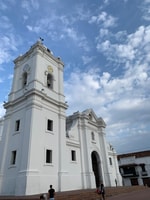 A Pearl In The Caribbean-walking tour in English (Tip based) - Housity