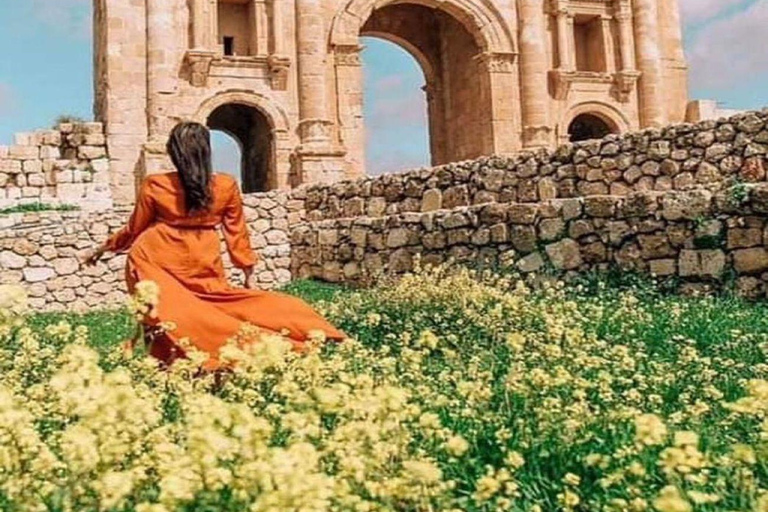 Excursión de un día: Jerash y el castillo de Ajloun Desde AmmánExcursión de un día: Jerash - Castillo de Ajloun Desde Ammán