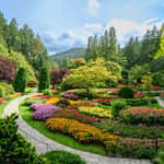 Da Vancouver: tour di Victoria con traghetto e Giardini Butchart
