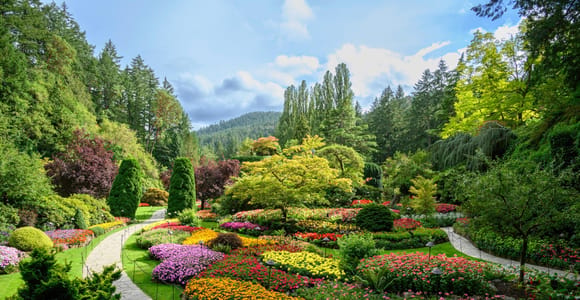 Von Vancouver: Victoria-Tour mit Fähre & Butchart Gardens