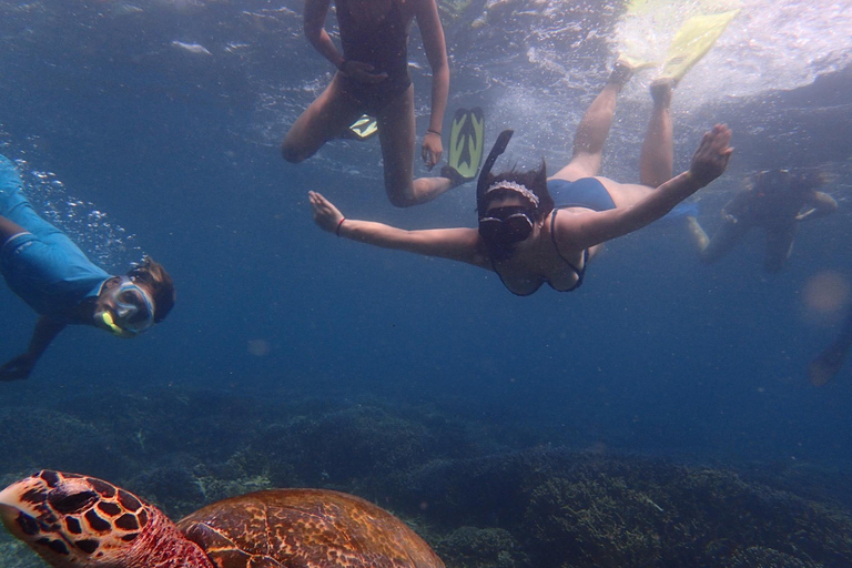 Pigeon Island Snorkeling Tour from Uppuveli Beach
