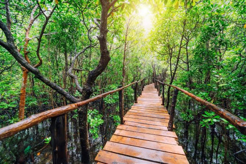 Zanzibar: las Jozani i jaskinia Salaam z odbiorem z hoteluWYCIECZKA PRYWATNA: z odbiorem z hotelu ze WSZYSTKICH HOTELI na Zanzibarze