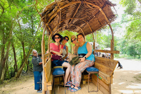Private Sigiriya, Safari & Village Tour: Colombo/Kandy/South From Sigiriya: Complete Core Tour (Direct Access)