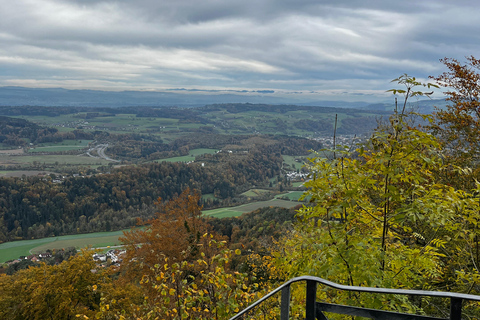 Teleférico de Zúrich paisaje panorámico lago de Zúrich comodidad