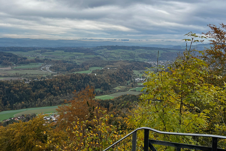 Teleférico de Zúrich paisaje panorámico lago de Zúrich comodidad