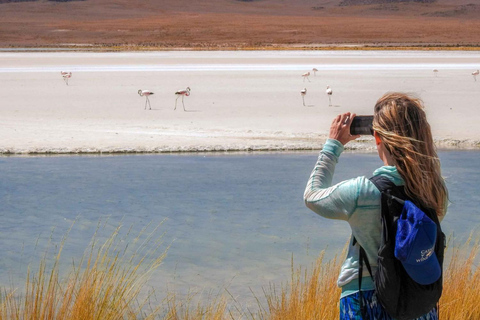 From Atacama: Uyuni Bus Tour (Round Trip)