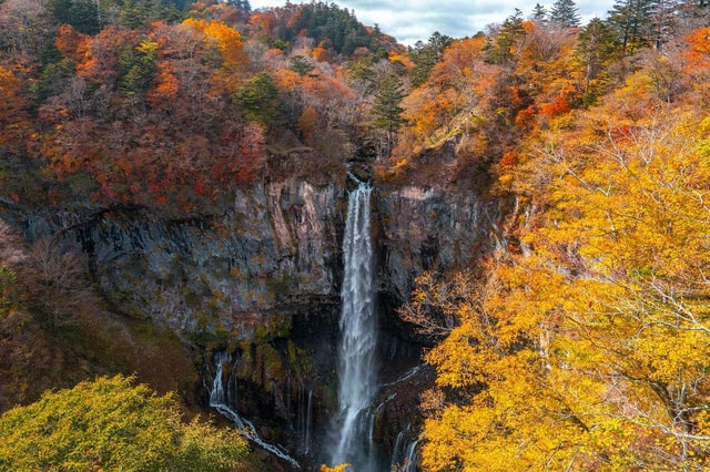 Tokyo: Nikko World Heritage Site Private Tour Hotel Pickup