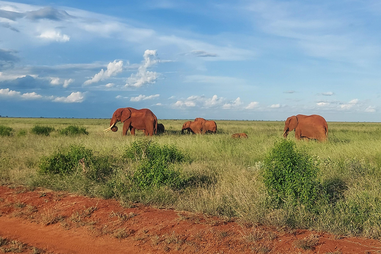 Mombasa: 5-Day Safari- Amboseli, SaltLick, Ziwani & Ngutuni