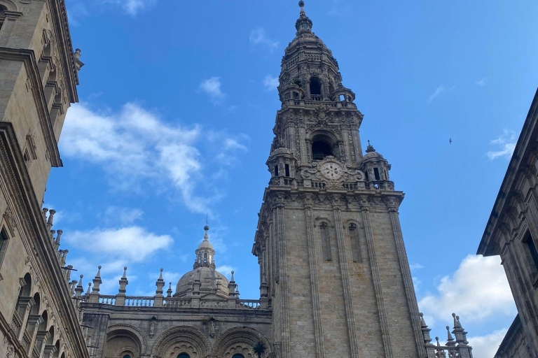 Excursion d'une journée à Santiago depuis A Coruña - réservé aux croisiéristes