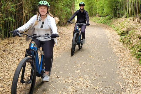 Furnas: Guided e-bike tour with Cheese Tasting Furnas: E-Bike Tour with Local Delicacies Tasting- afternoon