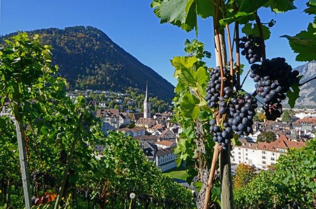 Visit Chur Altstadtführung in Chur, Switzerland