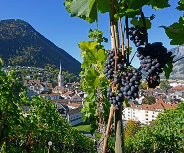 Chur: Altstadtführung