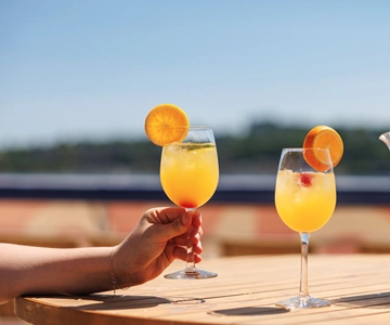 Montréal: VIP Seçeneği ile Hafta Sonu Nehir Brunch Gezisi