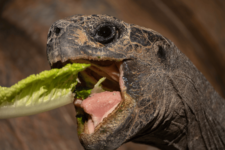 Tour de 9 días al aire libre en Galápagos