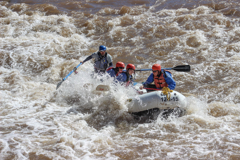Salt River Half-Day Rafting Trip - Arizona