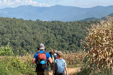 Chiang Mai: 3Days 2Night Trek in Doi Inthanon Area