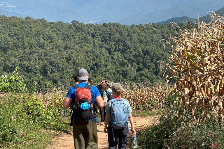 Chiang Mai: 3Days 2Night Trek in Doi Inthanon Area