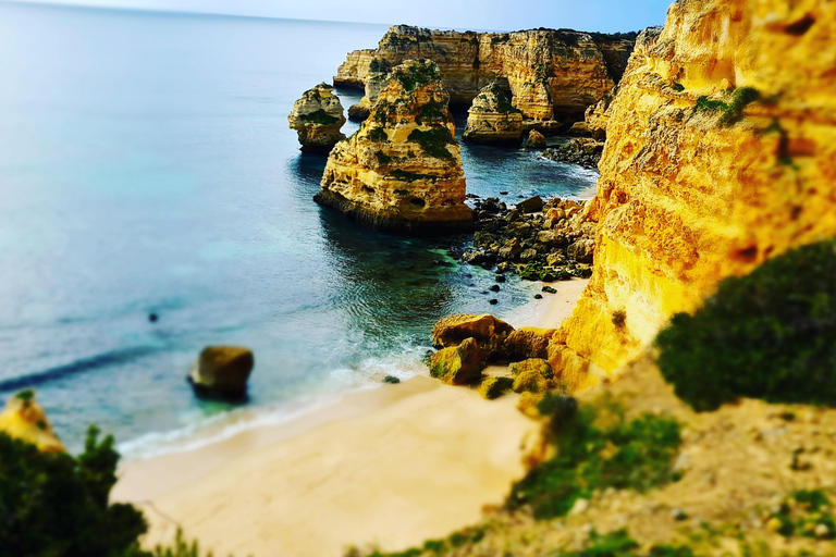 Visite d&#039;une jounée de l&#039;Algarve en privé - tour en bateau inclusAlgarve visite d&#039;une jounée privée