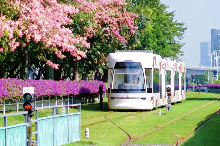 Guangzhou Day Tour: Trolley, Glass Museum &amp; Night Cruise