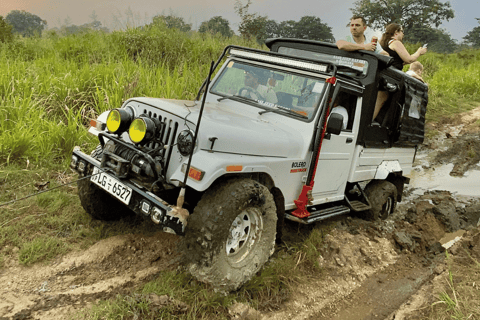 Sigiriya: Minneriya National Park Elephant Eco Jeep Safari From Sigiriya: Kaudulla National Park Jeep Safari