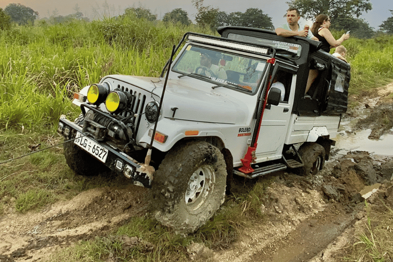 Sigiriya: Minneriya National Park Elephant Eco Jeep Safari From Sigiriya: Kaudulla National Park Jeep Safari