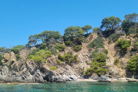 Boat trip around Porquerolles and Giens Day trip by boat around Porquerolles and Giens