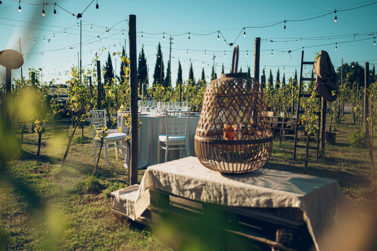 From Florence: Chianti Wine Tour with Wine Tasting Spanish - Chianti Wine Tour with Wine Tasting