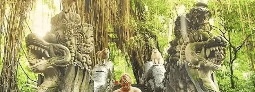 Ubud : visite d'une jounée privée