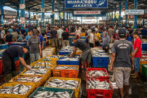 Jakarta Fish market & Mangrove Tour