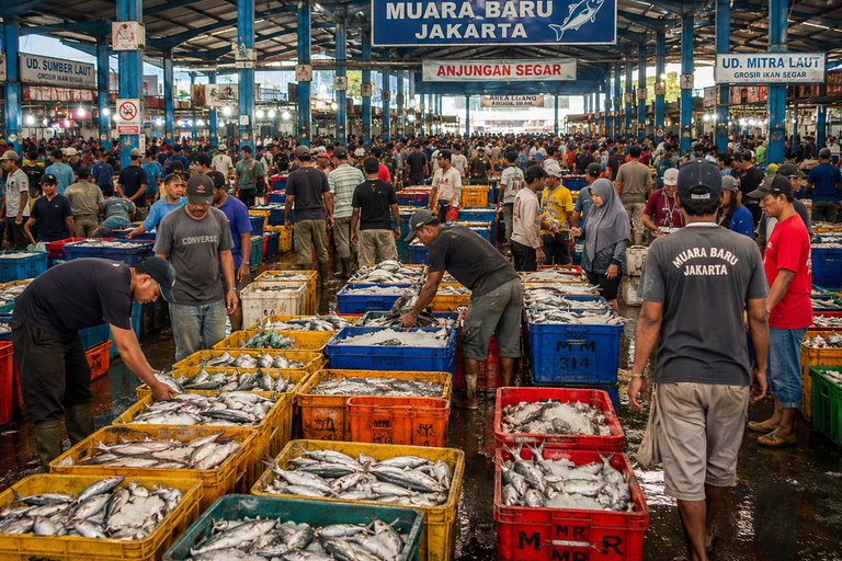 Jakarta Fish market & Mangrove Tour