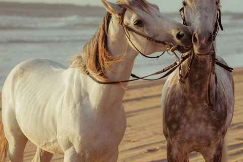 Saintes-Maries-de-la-Mer: Camargue Horseback Ride Private Saintes-Maries-de-la-Mer: Camargue Horseback Ride