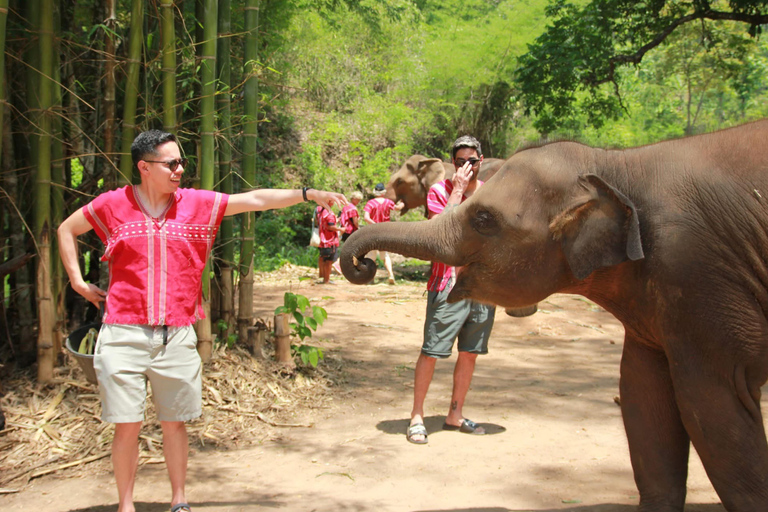 Phuket: Elephant Sanctuary Visit with Mud Spa & Workshop Afternoon: Elephant Sanctuary Visit with Mud Spa & Workshop