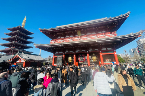 Tokyo Luxury Private City Tour Customizable with Guide
